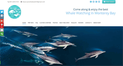 Desktop Screenshot of blueoceanwhalewatch.com