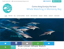 Tablet Screenshot of blueoceanwhalewatch.com